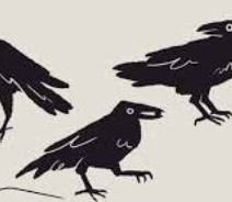 Crow